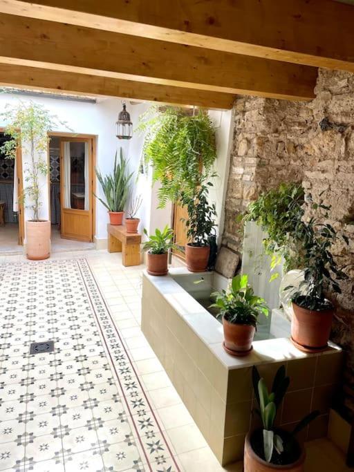 Apartamento En Casa Patio "Pan Y Conejo" Cordoue Extérieur photo
